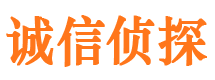 宝塔侦探公司